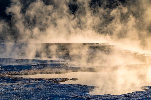 Jones, Adam 아티스트의 Canary Spring and steaming mist at sunrise-Mammoth Hot Springs-Yellowstone National Park-Wyoming작품입니다.